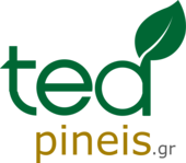 Κατάστημα Τσαγιού Θεσσαλονίκη